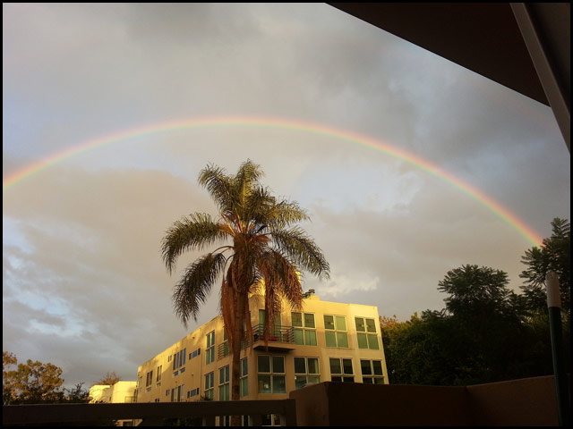 Rainbow over Los Angeles